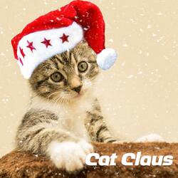 Cat Claus