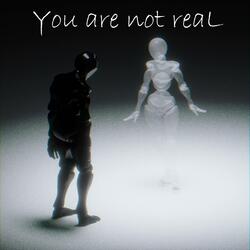 You Are Not Real