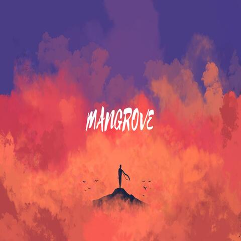 Mangrove