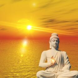 Holistic Healing Mindfulness Meditation 528 hz