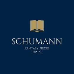 Fantasy Pieces, Op. 73, III: Rasch Un Mit Feuer