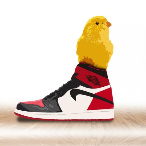 Bird in a Shoe