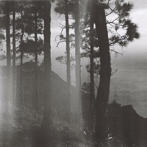 Light Leaks (for Sarah)