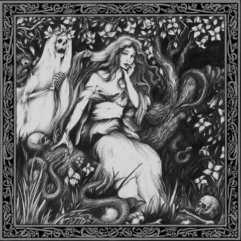 The Mystic Fields