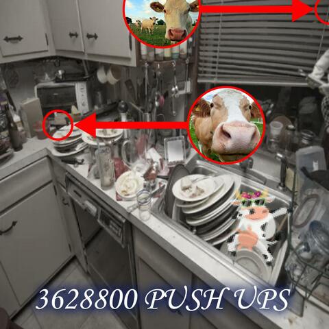 3628800 push ups