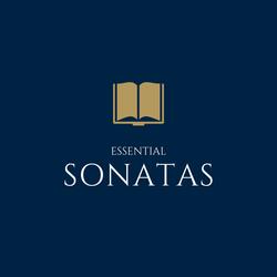 Sonata I in B Minor for Violin and Harpsichord, IV: Allegro