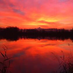 Dolce Anima è ora di volare