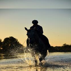 Cabalgando en libertad extended