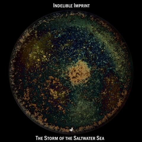 The Storm of the Saltwater Sea