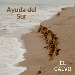 Ayuda del Sur