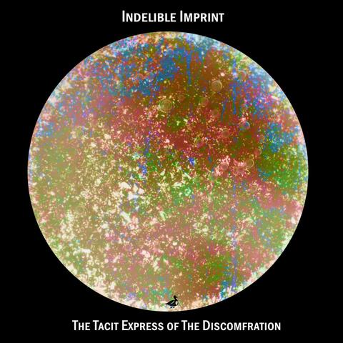 The Tacit Express of the Discomfration