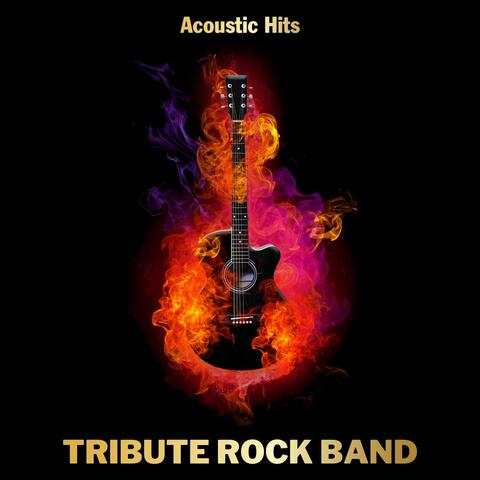 Acoustic Hits
