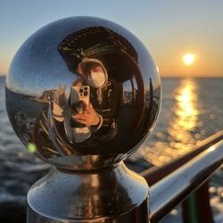 Un chat fait son apparition!