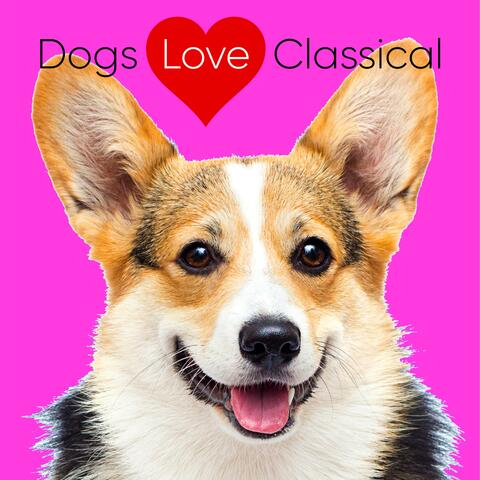 Music for Dogs: Six Fugues by Handel