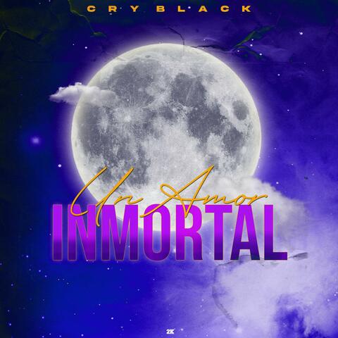 Un Amor Inmortal