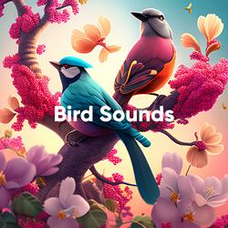 Birds Singing in the Garden