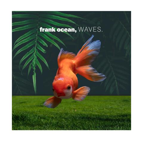 franc ocean, WAVES.