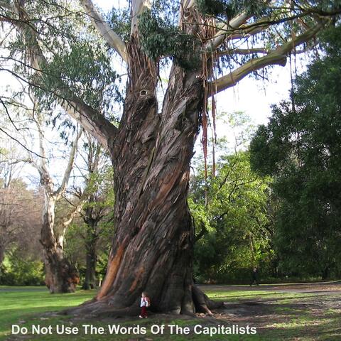 Do Not Use The Words Of The Capitalists