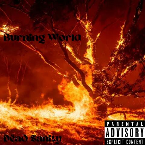 Burning World