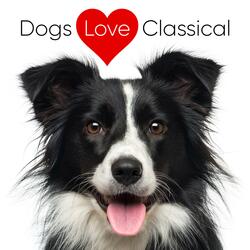 24 Preludes, Op. 28: Prelude No. 19 in Eb Major: Heartfelt Happiness