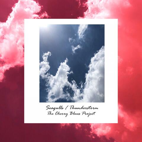 Seagulls / Thunderstorm