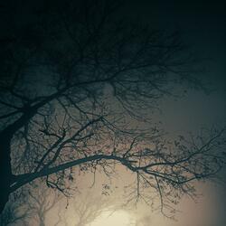 Ghosts IX