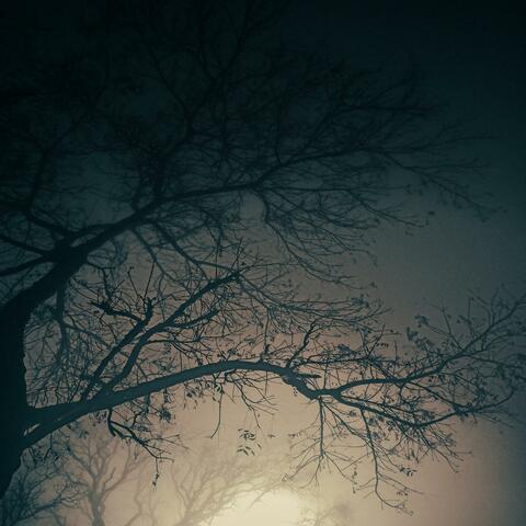 Ghosts