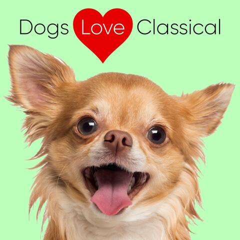 Classical for Dogs: Mendelssohn Songs Without Words