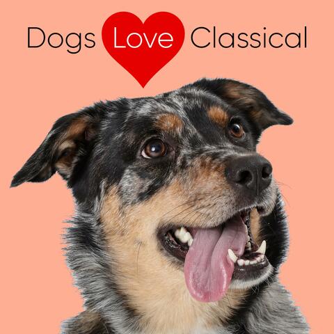 Classical Piano Music for Dogs: Brahms Sixteen Waltzes