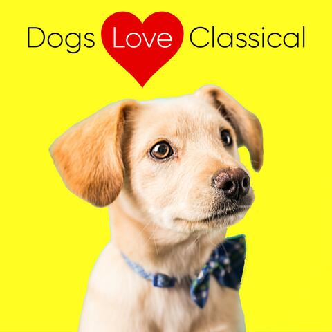 Piano Music for Dogs: Chopin Nocturnes & Mazurkas