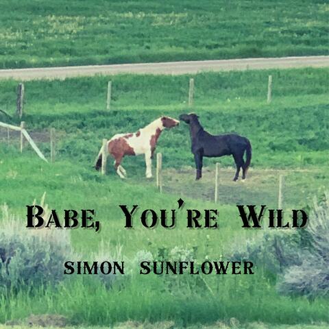 Babe, You're Wild