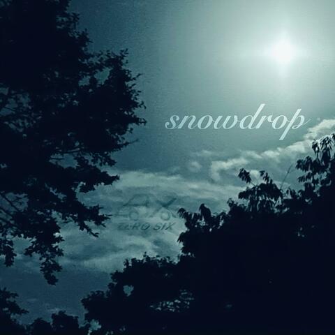 Snowdrop