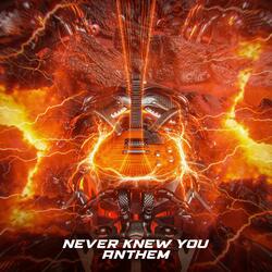 Never Knew You