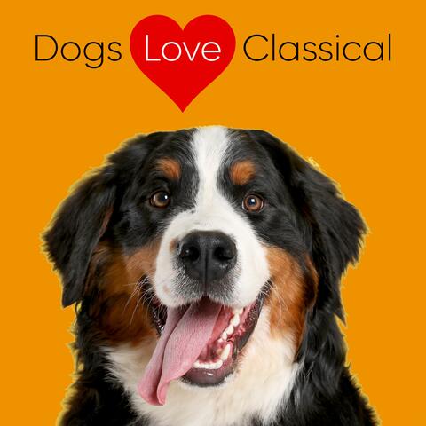 Classical Piano for Dogs at Home: Beethoven & Bach