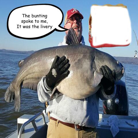 The Complete Guide to Catfishing