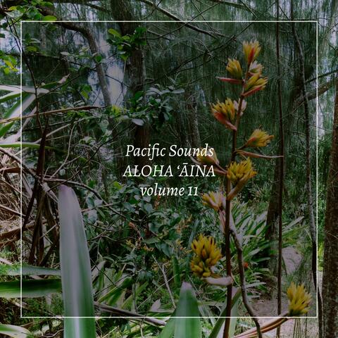 Aloha ‘Āina, Vol. 11: Field Recordings of Hawai‘i