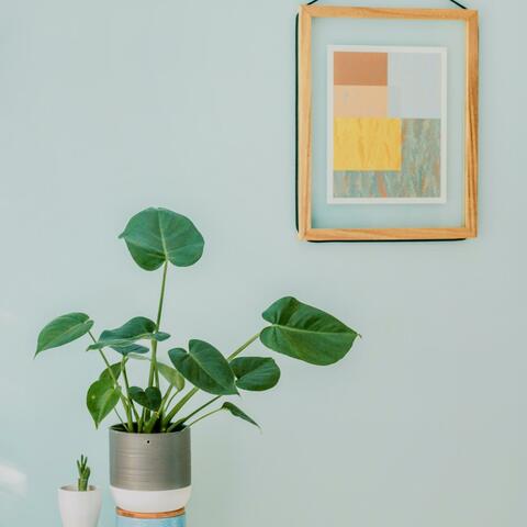Bright And Bold