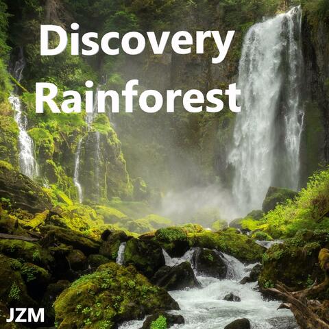 Discovery Rainforest