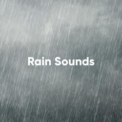 Rain Total Downpour
