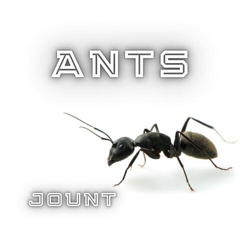 Ants