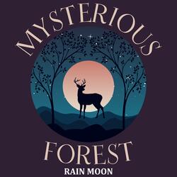 Mysterious Forest