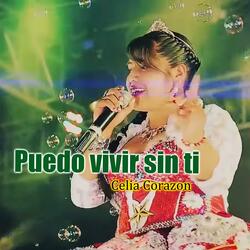 Pense Un Dia Soledad