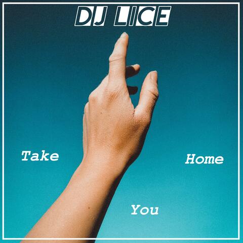 Take You Home