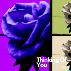 Thinking Of You
