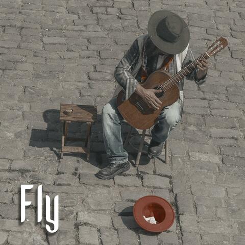Fly