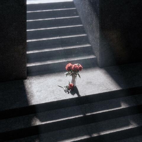 My Mind is a Lantern (And Earth Blooms Carnations)