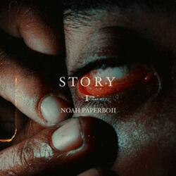 Story 1