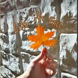 Like it's Fall..