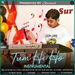 Hum Tere Bin Ab Reh Nahin Sakte (Instrumental)