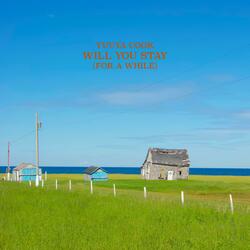 Will You Stay (For A While)